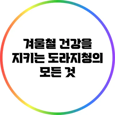 겨울철 건강을 지키는 도라지청의 모든 것
