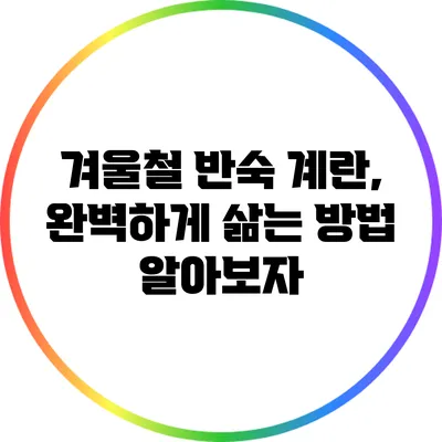 겨울철 반숙 계란, 완벽하게 삶는 방법 알아보자