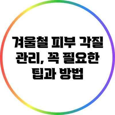 겨울철 피부 각질 관리, 꼭 필요한 팁과 방법