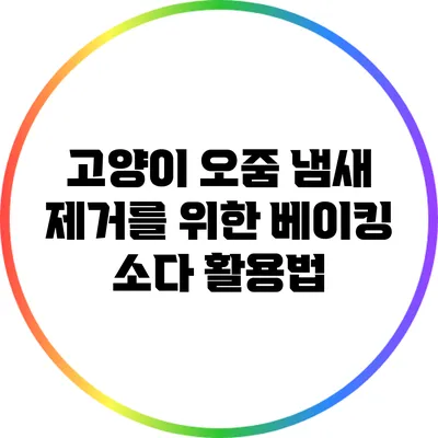 고양이 오줌 냄새 제거를 위한 베이킹 소다 활용법