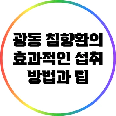 광동 침향환의 효과적인 섭취 방법과 팁