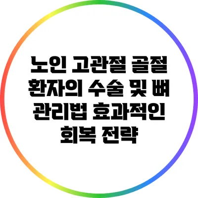 노인 고관절 골절 환자의 수술 및 뼈 관리법: 효과적인 회복 전략