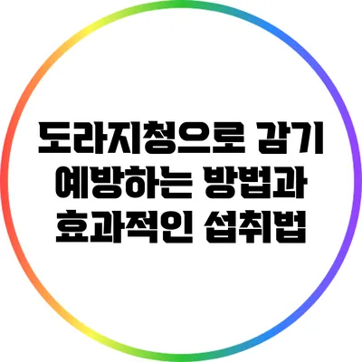 도라지청으로 감기 예방하는 방법과 효과적인 섭취법