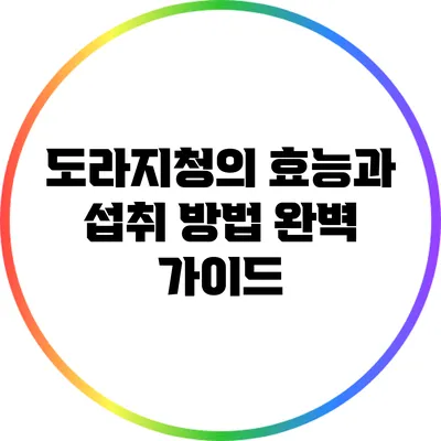 도라지청의 효능과 섭취 방법 완벽 가이드