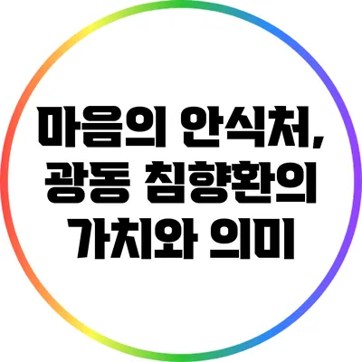 마음의 안식처, 광동 침향환의 가치와 의미