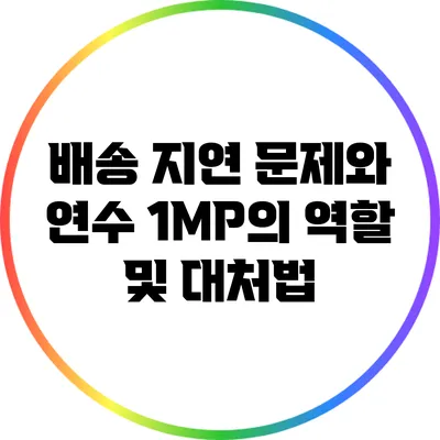 배송 지연 문제와 연수 1MP의 역할 및 대처법