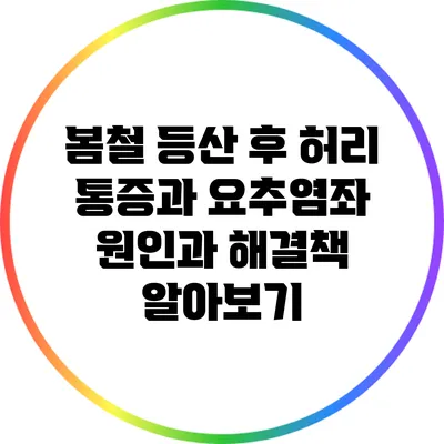 봄철 등산 후 허리 통증과 요추염좌: 원인과 해결책 알아보기