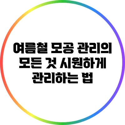 여름철 모공 관리의 모든 것: 시원하게 관리하는 법