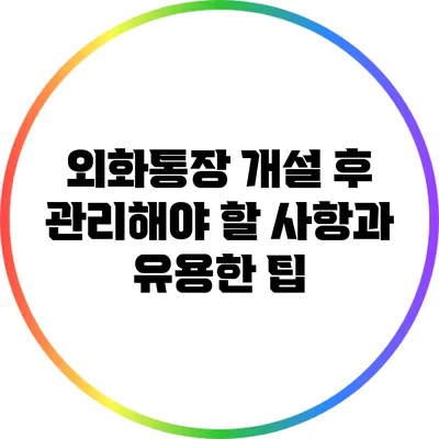 외화통장 개설 후 관리해야 할 사항과 유용한 팁