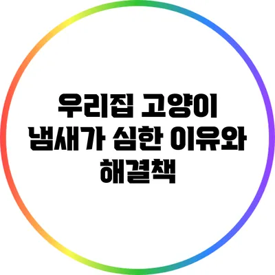우리집 고양이 냄새가 심한 이유와 해결책