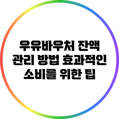 우유바우처 잔액 관리 방법: 효과적인 소비를 위한 팁