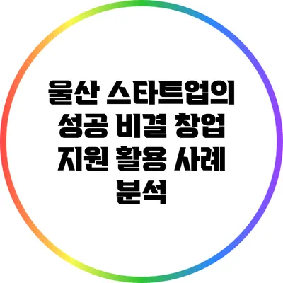 울산 스타트업의 성공 비결: 창업 지원 활용 사례 분석