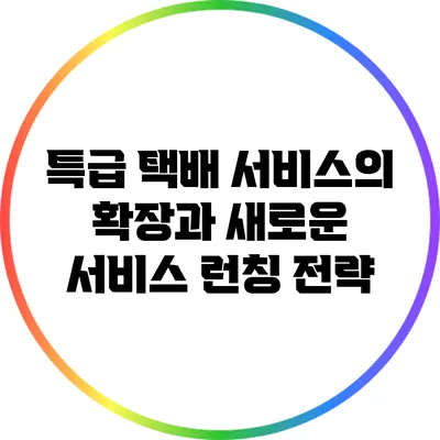 특급 택배 서비스의 확장과 새로운 서비스 런칭 전략