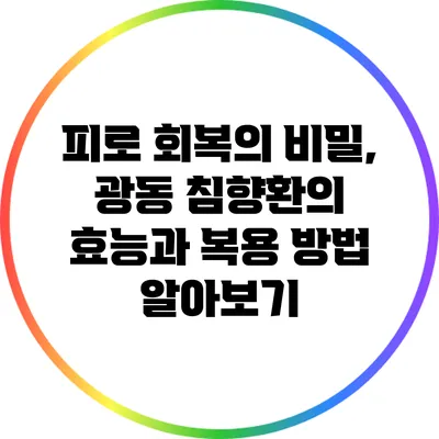 피로 회복의 비밀, 광동 침향환의 효능과 복용 방법 알아보기