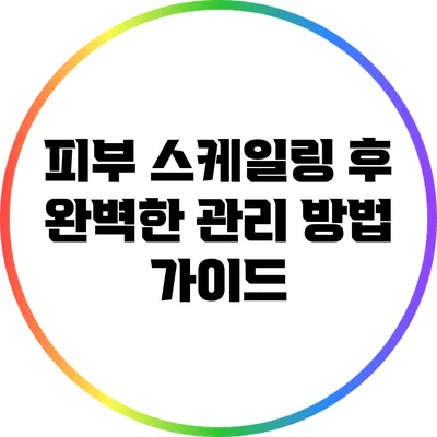 피부 스케일링 후 완벽한 관리 방법 가이드
