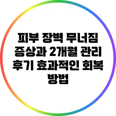 피부 장벽 무너짐 증상과 2개월 관리 후기: 효과적인 회복 방법