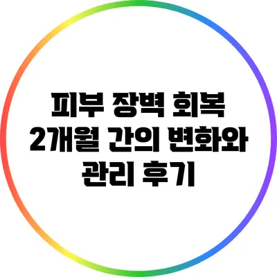 피부 장벽 회복: 2개월 간의 변화와 관리 후기
