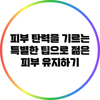 피부 탄력을 기르는 특별한 팁으로 젊은 피부 유지하기