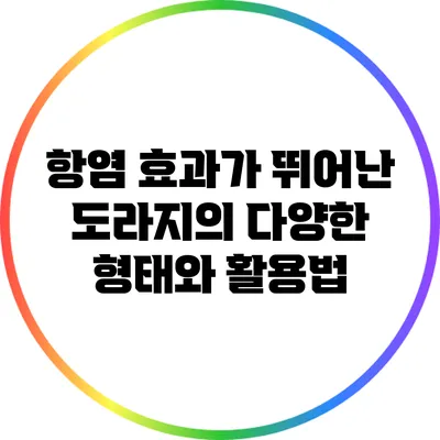 항염 효과가 뛰어난 도라지의 다양한 형태와 활용법