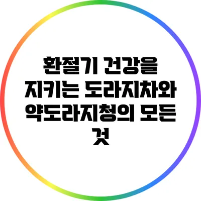 환절기 건강을 지키는 도라지차와 약도라지청의 모든 것
