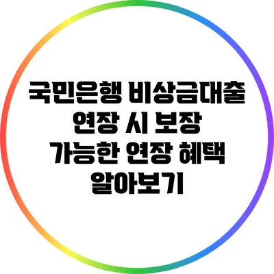 국민은행 비상금대출 연장 시 보장 가능한 연장 혜택 알아보기