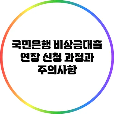 국민은행 비상금대출 연장 신청 과정과 주의사항