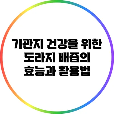 기관지 건강을 위한 도라지 배즙의 효능과 활용법