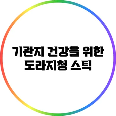 기관지 건강을 위한 도라지청 스틱