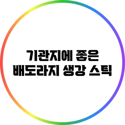 기관지에 좋은 배도라지 생강 스틱