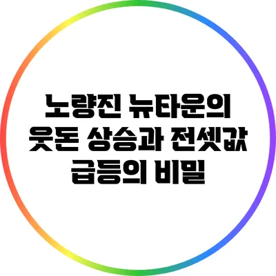 노량진 뉴타운의 웃돈 상승과 전셋값 급등의 비밀
