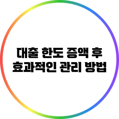 대출 한도 증액 후 효과적인 관리 방법