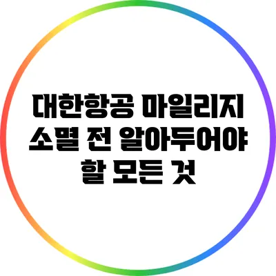 대한항공 마일리지 소멸 전 알아두어야 할 모든 것