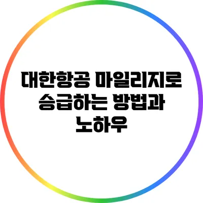 대한항공 마일리지로 승급하는 방법과 노하우