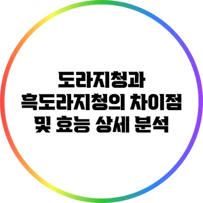 도라지청과 흑도라지청의 차이점 및 효능 상세 분석