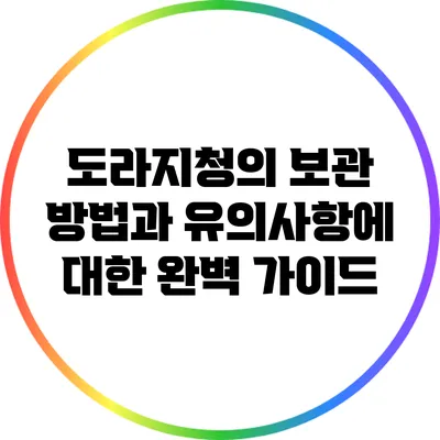 도라지청의 보관 방법과 유의사항에 대한 완벽 가이드