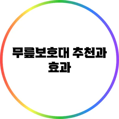 무릎보호대 추천과 효과