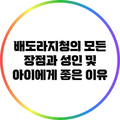 배도라지청의 모든 장점과 성인 및 아이에게 좋은 이유