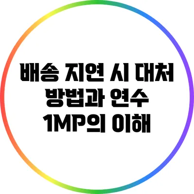 배송 지연 시 대처 방법과 연수 1MP의 이해