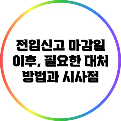 전입신고 마감일 이후, 필요한 대처 방법과 시사점