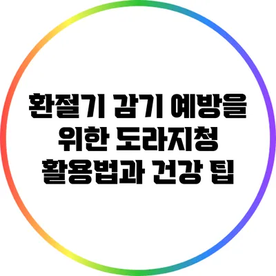 환절기 감기 예방을 위한 도라지청 활용법과 건강 팁