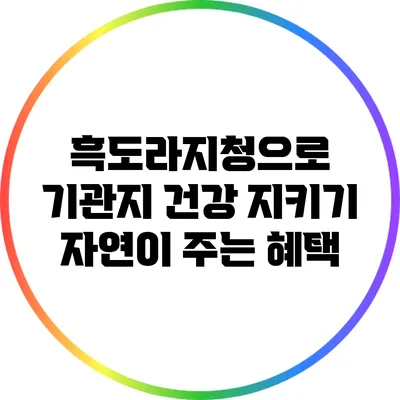 흑도라지청으로 기관지 건강 지키기: 자연이 주는 혜택