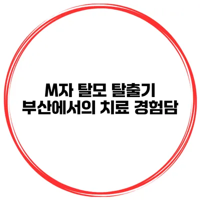 M자 탈모 탈출기 부산에서의 치료 경험담