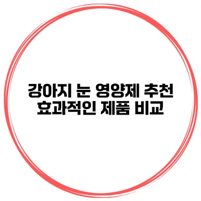 강아지 눈 영양제 추천 효과적인 제품 비교