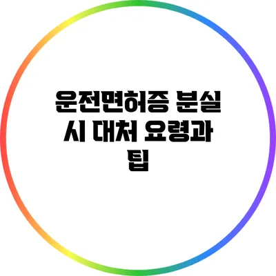 운전면허증 분실 시 대처 요령과 팁